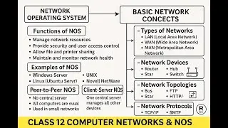 Network Operating System: Networks, LAN, WAN, NOS, Protocols, Devices & Topologies Explained Easily