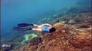 Plus Size Who Freedive