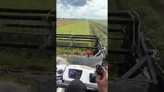St24 Cạp Đỡ Qua Ng&agrave;y 🤪🤪