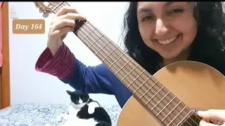Serious Practice Day 164 | Red Hot Chili Peppers - Wet Sand