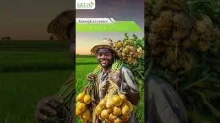 The Power of One Capsule | Siesto Green Bio-Fertilizer &ndash; Revive 1 Acre of Soil Naturally 🌱