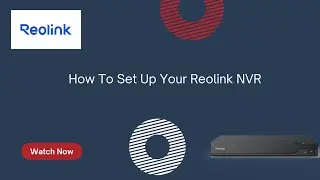 How to Set Up Your Reolink NVR for the First Time (2026 Guide)