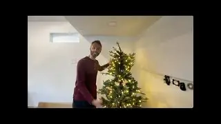 BEST Prelit Christmas Tree?