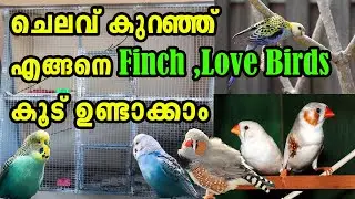 Birds Cage making Malayalam |Love birds cage |Birds Breeding Cage|Finches Birds Breeding Cage|Aviary