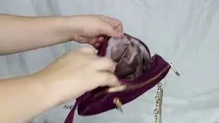 Secosana Dielley Sling Bag| Sling Bag | Glimpse of Charles and Keith Cleo Quilted Card Holder