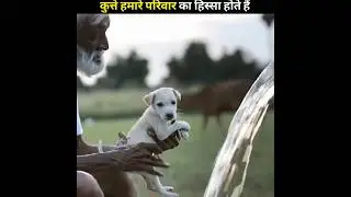 Dogs becomes our family member II#shorts #shortvideo #viral #doglover #emotional