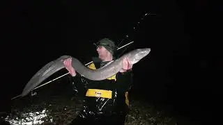 My PB 21LB 5OZ Shore Caught Conger