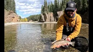 Fly fishing and paddling Wapiabi Creek - Alberta