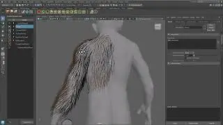 Ornatrix Maya: Groom Merging