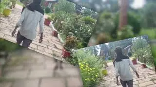 ## Next level editing agar aapki  video koi editing karna hai to comment Karen