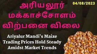 அரியலூர் மக்காச்சோளம் விலை | Ariyalur Mandi's Maize Trading Prices Hold Steady Amidst Market Trends