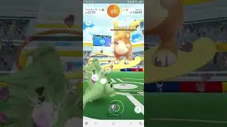 Raichu solo alola