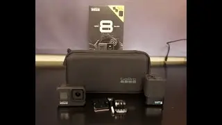 GoPro HERO8 Black Action Camera Bundle with Dual Battery Charger, Includes 3 Total Batteries & case.