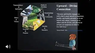 Lisa - MAC Capstone - Pt. 2