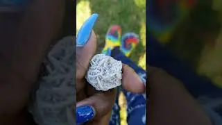 desert rose crystal