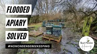 Flooded Apiary - SOLVED