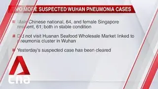 Wuhan pneumonia: 2 more suspected cases in Singapore