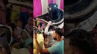Har Har Mahadev 🔱 #aghoribaba #shivling #lordverified #hindudeity #jhanki #viralvideo