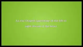 Auricle Meaning