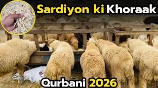 📌 Title:Sardiyon Mein Chatron Ki Koraak 🐐 | Flu & Khansi Se Bachao Tips