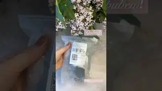 Обзор набора трусов с wb 🌺 #wb #нижнее_белье #haul #shopping #обзор