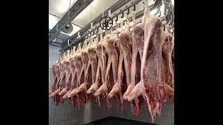 Abattoir Equipment 304 Stainless Steel Conveyor Track Machine Pulley Hooks Slaughterhouse Machinery
