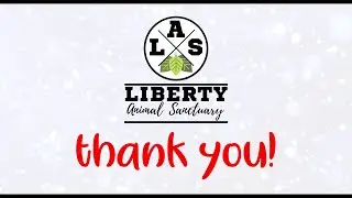 Liberty Animal Sanctuary Open Day