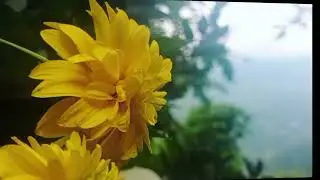 Non copyright Garhwali song#phadilifestyle#phadivibes#uttarakhan#tehrigarhwal#trending#youtubevideo
