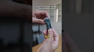 How To Connect DJI Mic with DJI OSMO Pocket #djipocket3 #osmopocket #djimic #dji