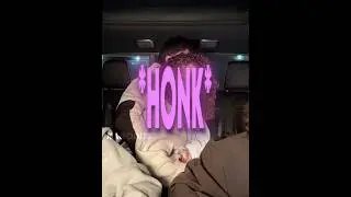Mia Stop Noah...🤣.