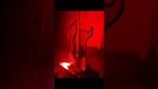 Video Hologram 3D🦋🐠#shorts,#shortvideo,#3d,#video,#animation,#animals,#short,#fish.