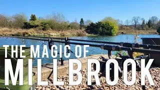 A 48hr session on Millbrook fishery with some great company.