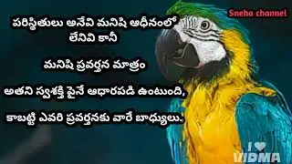 wonderful quotes#857#jivithasathyalu |Million dalar quotes |&zwnj;|Sneha channel
