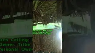 When we finish our first base in ARK || ARK:Survival Evolved||Tamil Live#ArkSurvivalEvolved | #ark