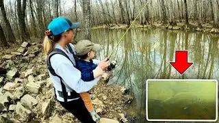 We FOUND a MURKY BACKWOODS CREEK with THOUSANDS of POWERFUL FISH!  (Insane)