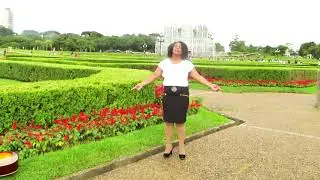 Silvana Souza Escudo Hino Avulso