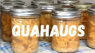 TWO ways to preserve BAR CLAMS-QUAHAUGS-Pressure CANNING and FREEZING