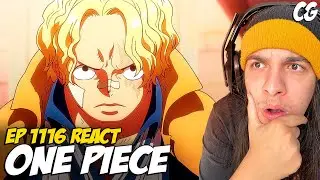 SABO TA VIVO e BUGGY REI DOS PIRATAS! - React One Piece EP 1116