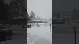 Sandy Utah Under the Snow #winterscene #snowyday #shorts
