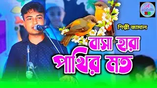 বাসা হারা পাখির মত | জামালের ভাইরাল আঞ্চলিক গান | Ancholik songs | আঞ্চলিক গান | @ancholikbd