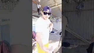 creative transition