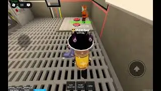 Just some acef gameplay ( call the cat Larry )