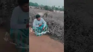 Ajj tuha pani pani pani tuha sani sani sani special moment #shorts #viral #foryou #trending #funny