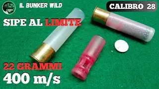 SIPE AL LIMITE ? 22 grammi a 400 m/s CALIBRO 28