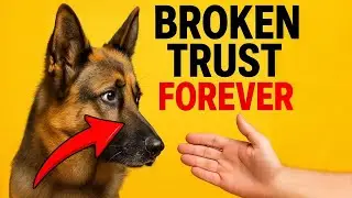 German Shepherd Training Mistakes That Break Their Trust Forever