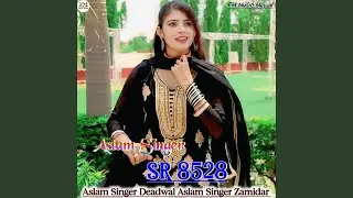 Aslam Singer SR 8528
