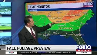 Fall foliage preview
