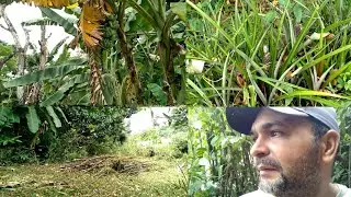 SEXTOU NA RO&Ccedil;A vem comigo nessa rotina rotineiras