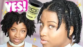 Is BLACK CASTOR & FLAXSEED OIL ECO STYLER The Best For Type 4? + Twist Out