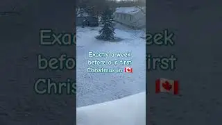 A week before Christmas 2023🎄 🎅#canadalife #canadasrilanka #vet #merchant #couple #merrychristmas